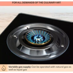 Klarstein Barzona 3 Camping Stove 3 Burners 3.4 KW & 0.75 KW & 4.3 KW Glass Top And Stainless Steel Housing -Outlet Klarstein Devices Store 95821199 5